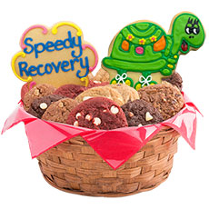 W121 - Speedy Recovery Basket